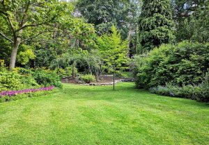 Optimiser l'expérience du jardin à Saint-Ouen-des-Champs